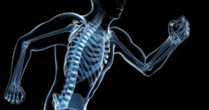 Effets du sport sur le corps : les os